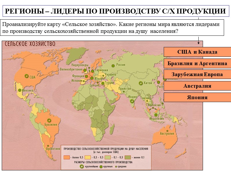 РЕГИОНЫ – ЛИДЕРЫ ПО ПРОИЗВОДСТВУ С/Х ПРОДУКЦИИ Проанализируйте карту «Сельское хозяйство». Какие регионы мира